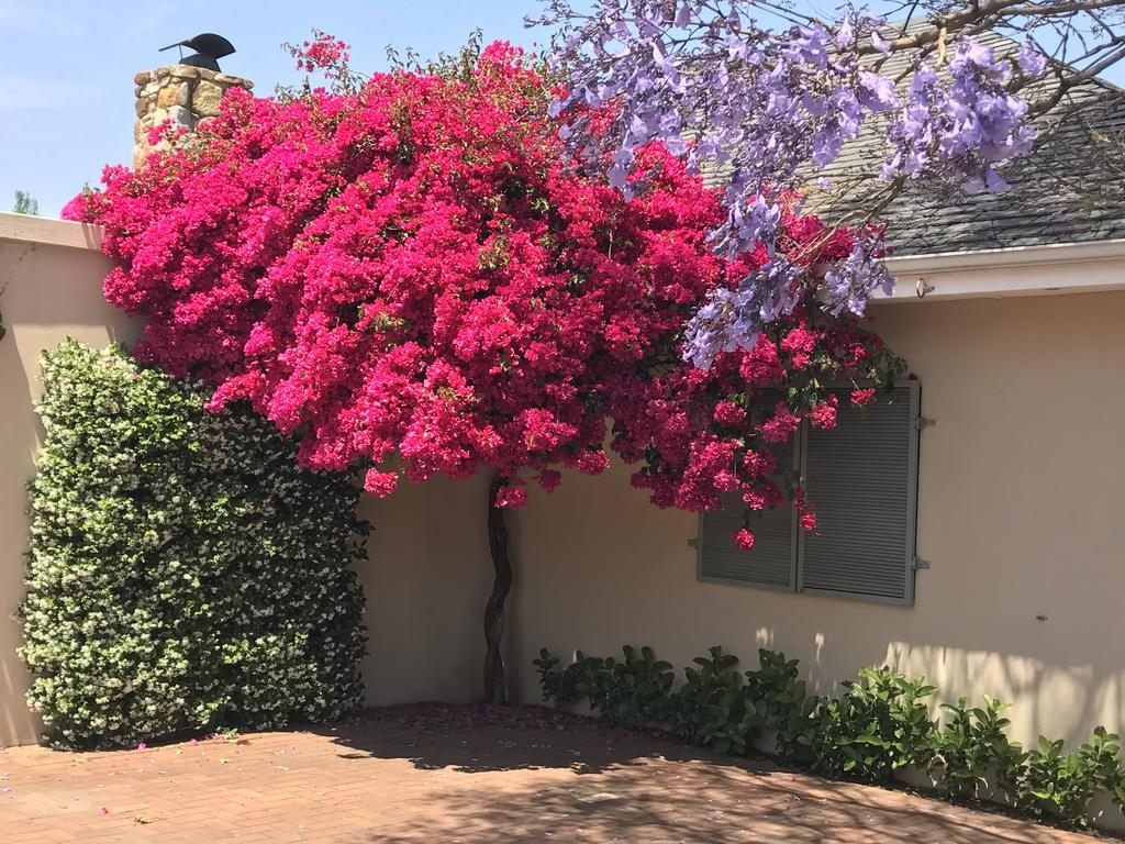 The Parkwood Otel Johannesburg Dış mekan fotoğraf