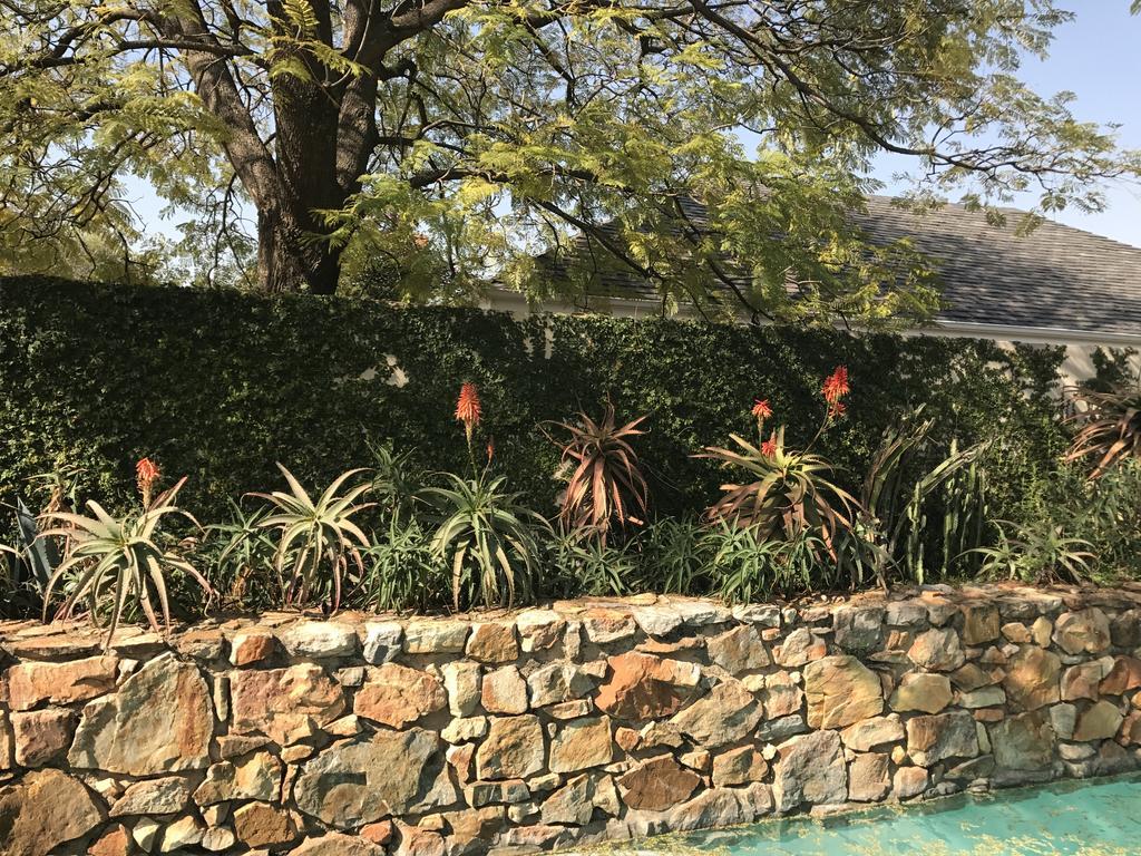The Parkwood Otel Johannesburg Dış mekan fotoğraf
